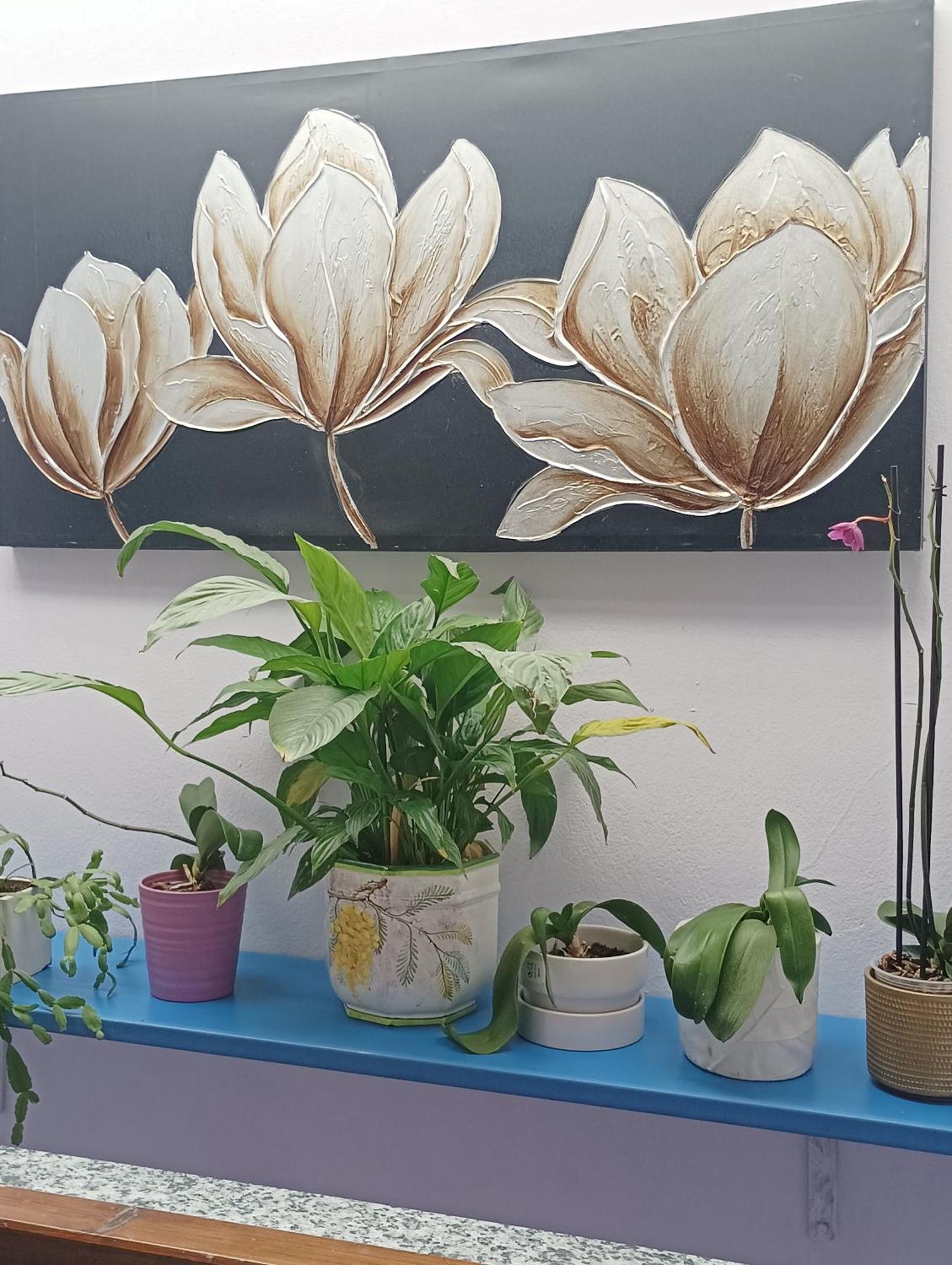 Appartamento Il Giardino Dei Semplici Semplici Bonate di Sopra Exterior foto